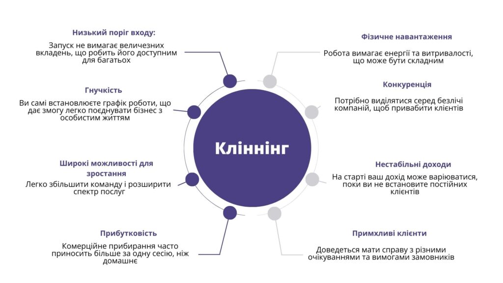 Переваги та недоліки клінінгового бізнесу в Україні