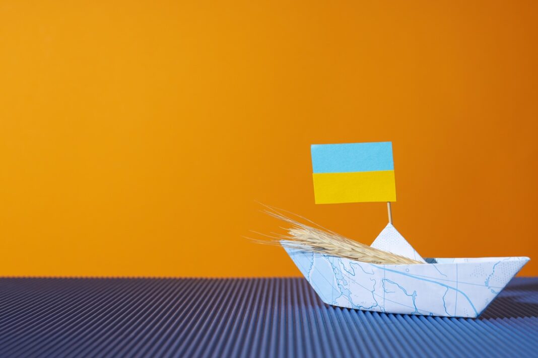 Економіка України. Економіка в умовах невизначеності.