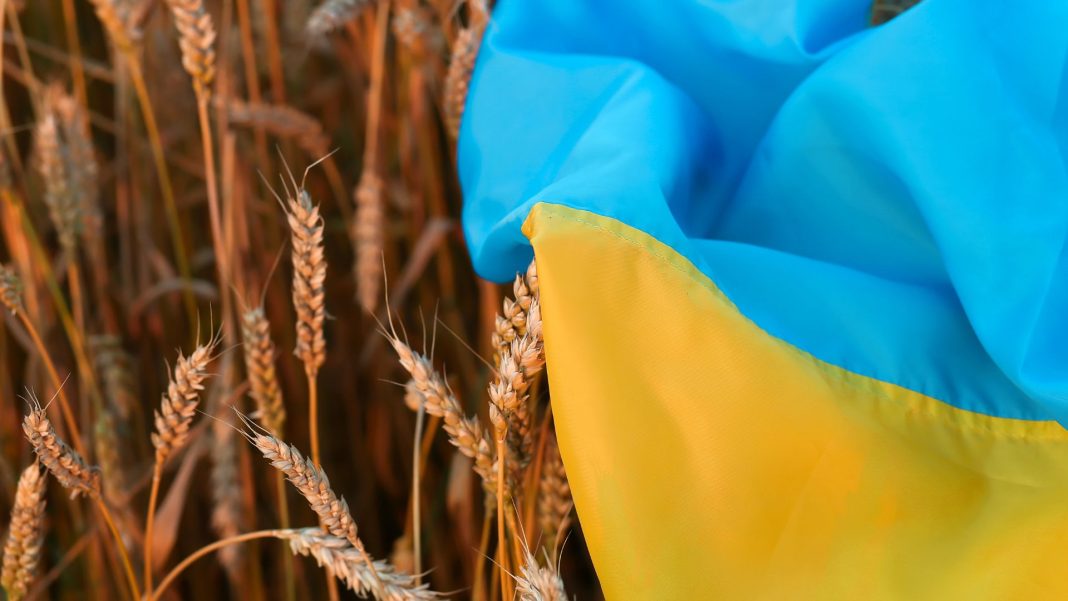 Новини України