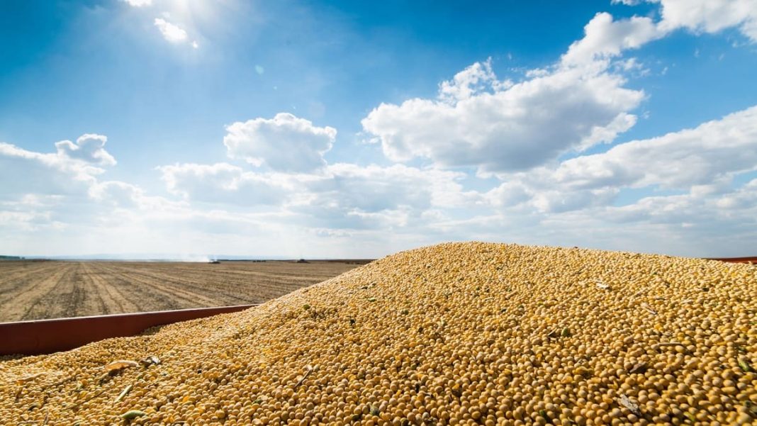 Експорт агропродукції з України